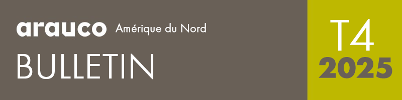 Newsletter Header - Q4 2024