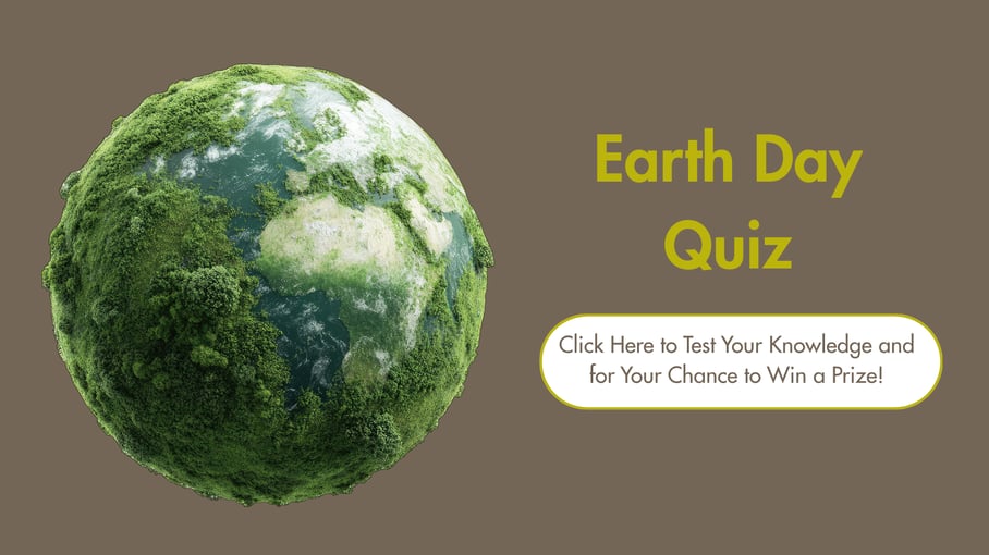 Pink and White Playful Valentines Day Quiz Presentation (1)-1