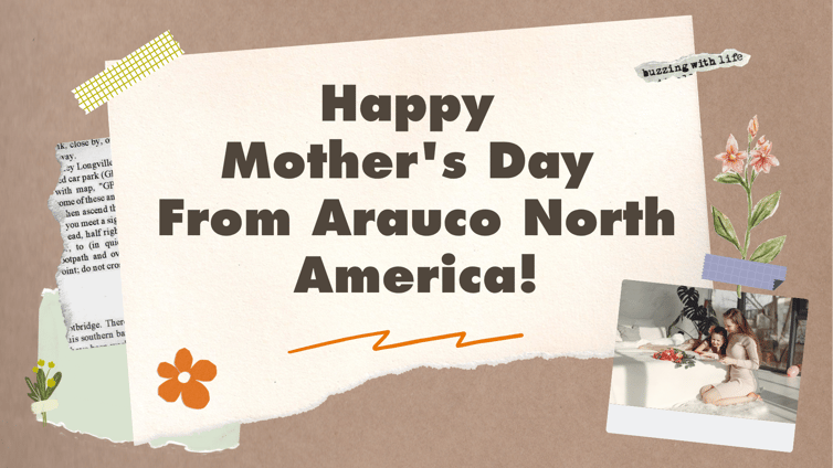 SafeTeams Winner Graphic