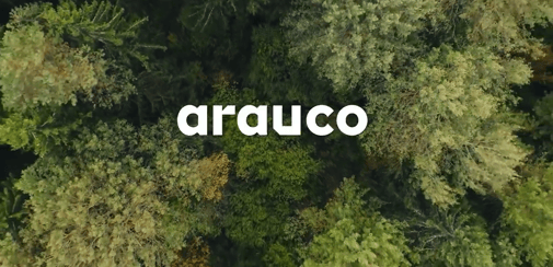 Screenshot 2026-01-05 111400