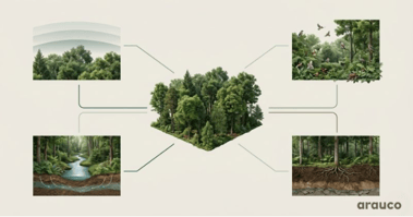 Screenshot 2026-03-26 151305