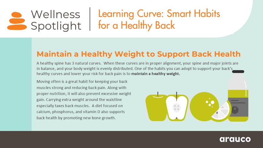 wellness_spotlight_healthy back_maintainweight